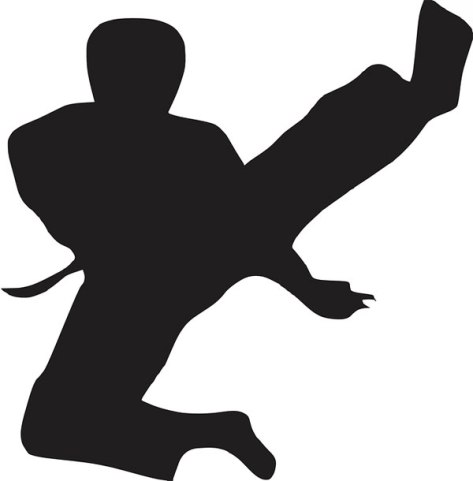 https://pixabay.com/en/karate-kick-sport-male-martial-312473/